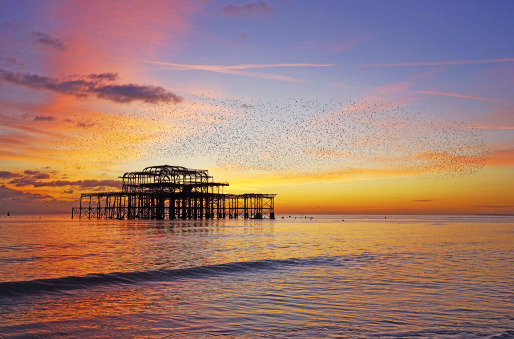 West Pier Murmuration